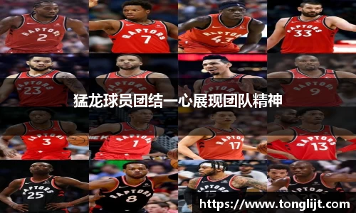 南宫ng28官网