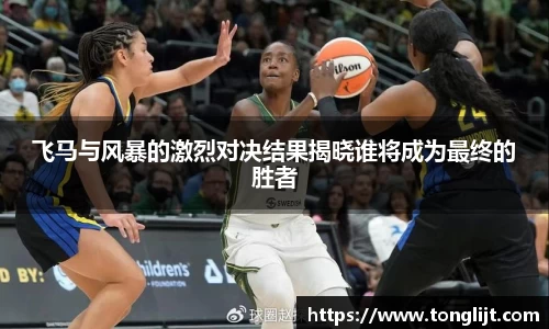 飞马与风暴的激烈对决结果揭晓谁将成为最终的胜者